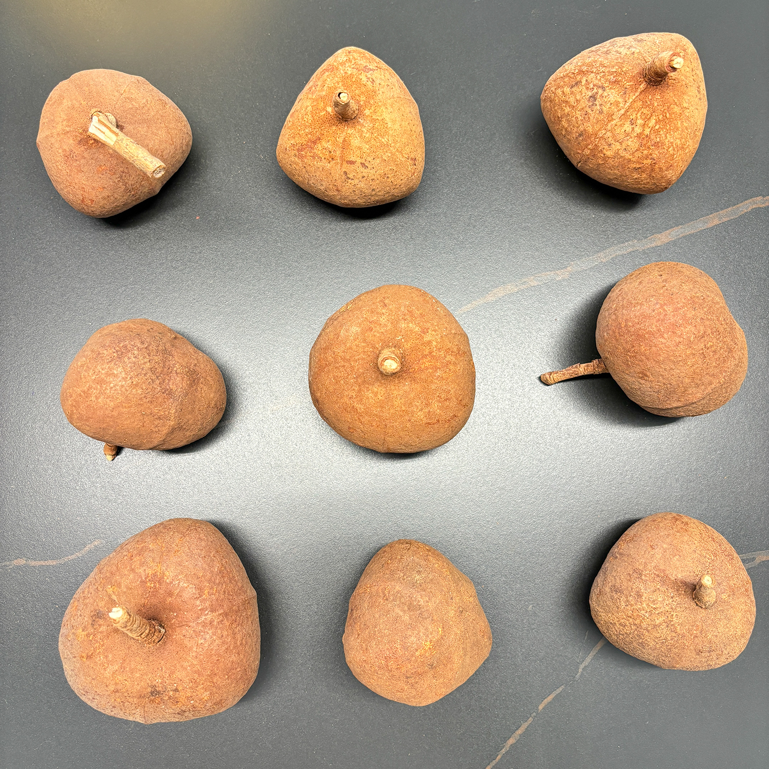 丁桂果大果进口干果森系装饰摆件