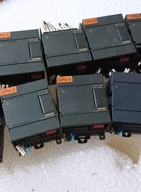 PLC模块 CPU224-3PPZ主机仿的 扩展