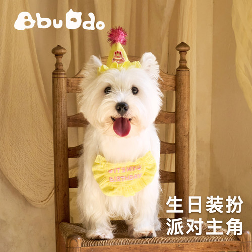 BBUDDO宠物生日装饰帽可爱口水巾撞色拍照道具狗狗猫咪生日装扮