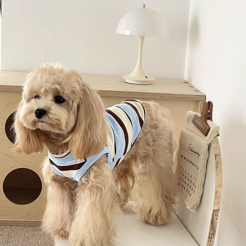 BBUDDO春夏款宠物衣服条纹时髦薄款背心小型犬约克夏马尔济斯猫咪