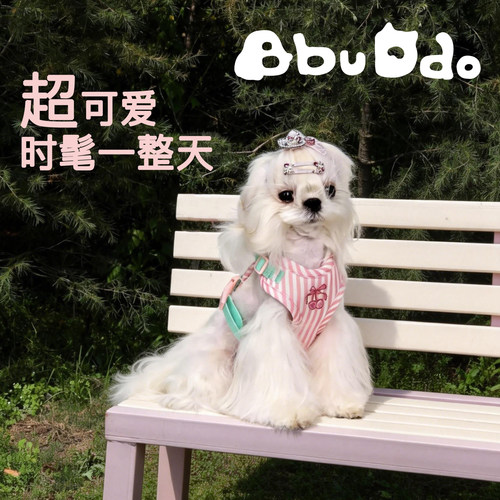 BBUDDO新款背心式胸背狗狗外出牵引绳时髦撞色设计防挣脱中小型犬