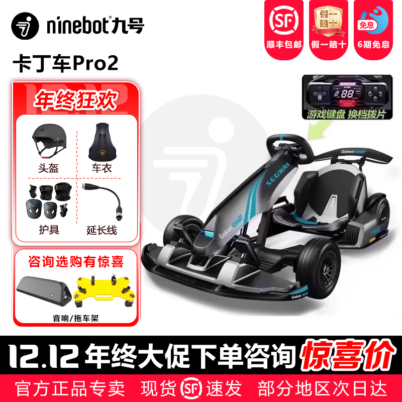 九号Segway卡丁车PRO2可烤漆