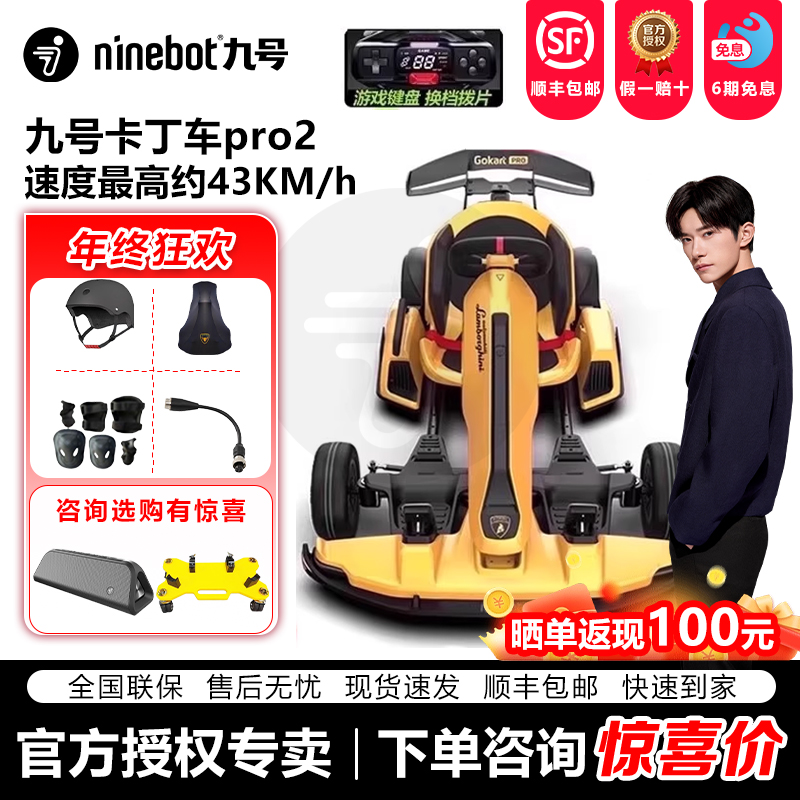 Ninebot小米九号卡丁车儿童成人
