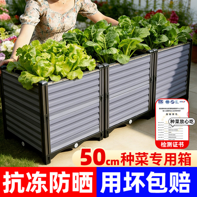 阳台种植箱种菜专用盆