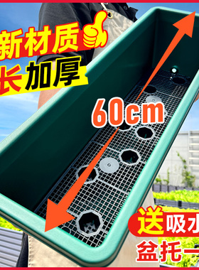 原起点花盆家用种菜专用阳台特大号长条霍伦盆蔬菜种植神器塑料箱