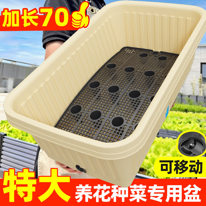特大号长方形阳台种菜盆蔬菜专用箱懒人塑料家用长条窗台食品级,鲜花速递/花卉仿真/绿植园艺,花盆,淘宝优惠券,粉丝福利购,淘宝优惠卷