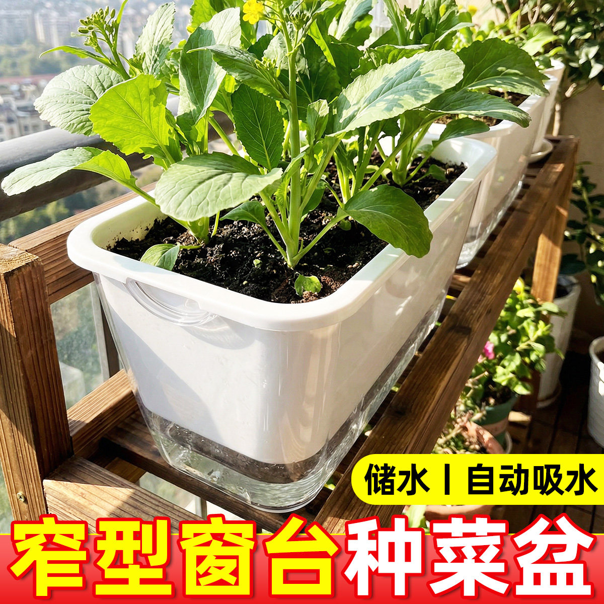 家庭阳台种菜盆种菜神器懒人花盆自动吸水长方形塑料蔬菜种植箱,鲜花速递/花卉仿真/绿植园艺,花盆,淘宝优惠券,粉丝福利购,淘宝优惠卷
