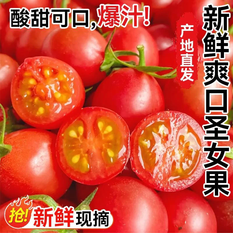 新鲜圣女果小番茄 农家酸甜千禧樱桃小西红柿露天应季时令蔬菜果,水产肉类/新鲜蔬果/熟食,番茄,淘宝优惠券,粉丝福利购,淘宝优惠卷