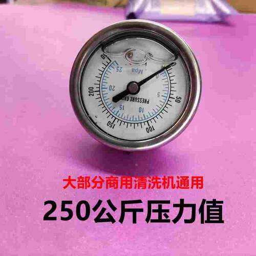 飞驰熊猫之星欧伦迪超洁250公斤压力表清洗机高压水枪水表通用型