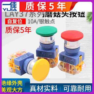 11M Y090 红 22mm 一佳电源点动自复位启动大头蘑菇按钮开关LAY37