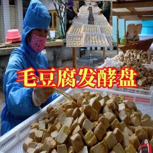 毛豆腐发酵盘框霉豆腐乳水专用盒制作老使用的塑料工具晾晒筐子胚