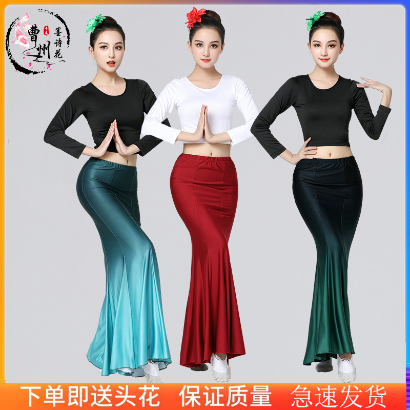 傣族服裝練習(xí)裙成人女半身舞蹈表演出服藝考練功裙彈力孔雀魚尾裙
