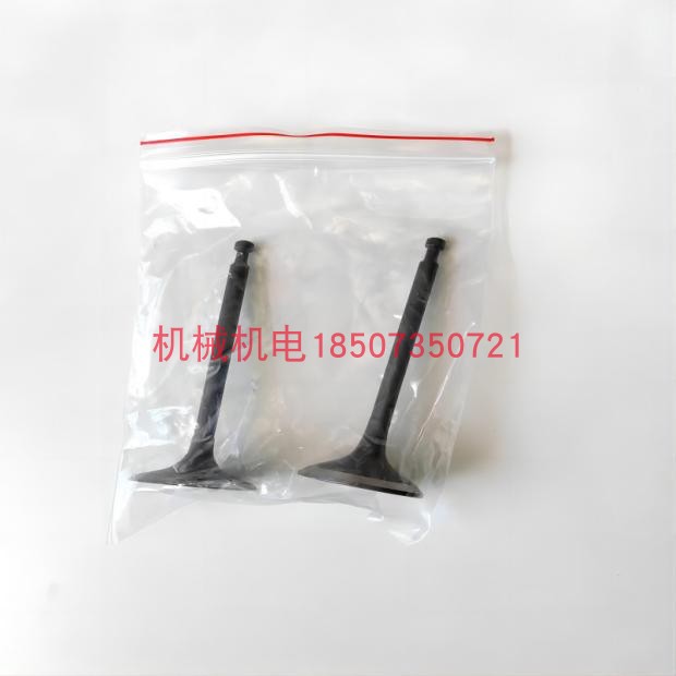 大疆D9000I/T30发电机进排气门