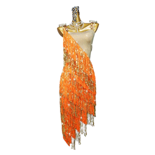 2026新款拉丁舞表演出比赛服装高级专业流苏连衣舞裙成年伦巴花服