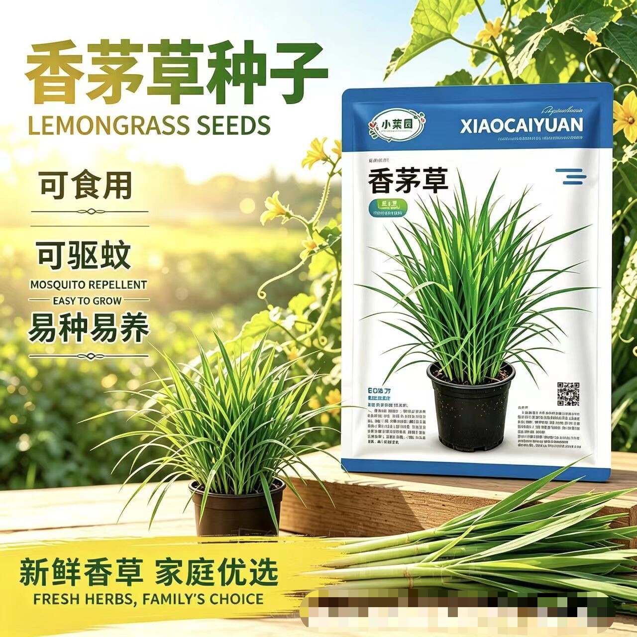 香茅草种子驱蚊草种籽驱蚊虫植物家庭园艺种子