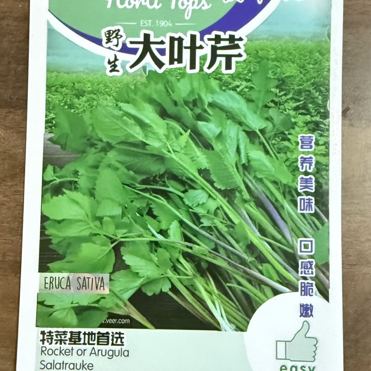 野生大叶芹种子正宗山芹菜种籽包邮老桑芹水芹菜东北山野菜图片