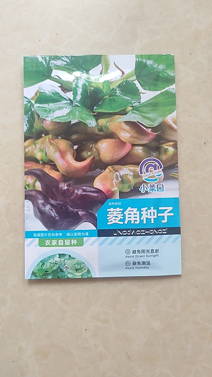 大菱角种子早熟大青菱种子牛角菱家庭园艺种子
