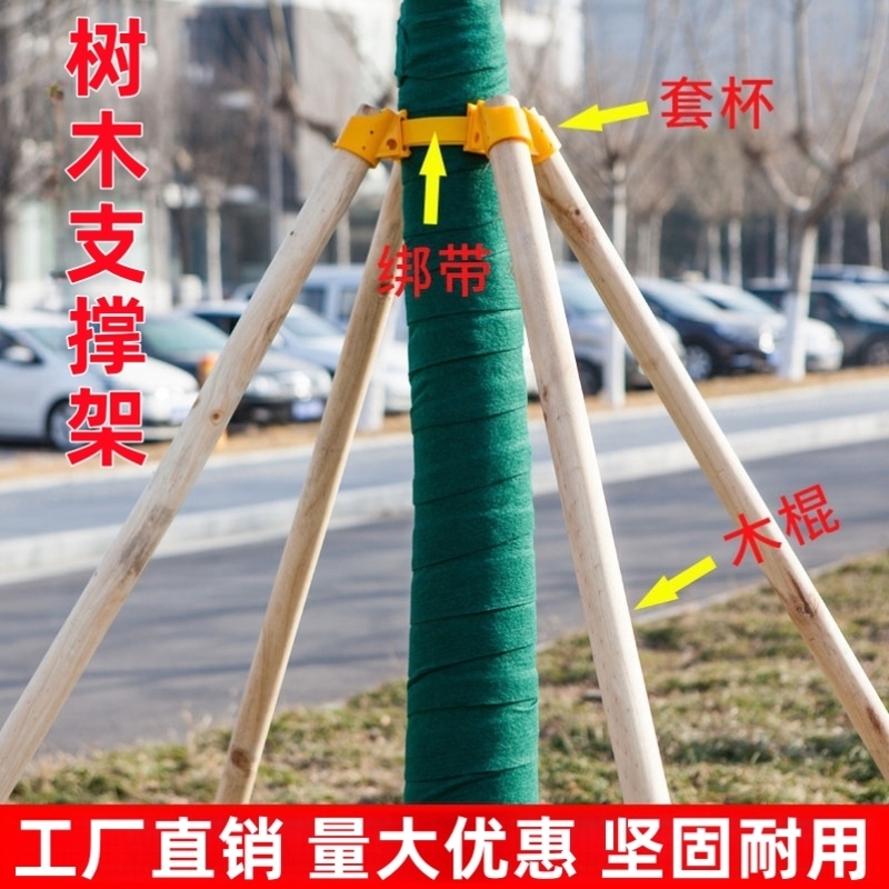 树木支撑固定器稳定支架园林绿化杉木松木杨木棍支撑架杆防风工程