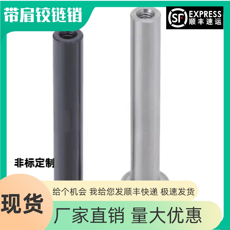 内螺纹带肩铰链销MIM01