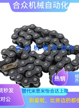 替代CHE40B 50B 60B工业链条 CHES40B 304不锈钢链条