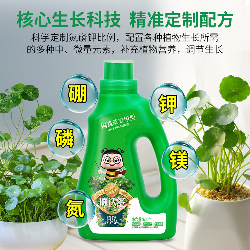 速发铜钱草营养液专用肥水养植物家用盆栽通用料养花肥型土培水培
