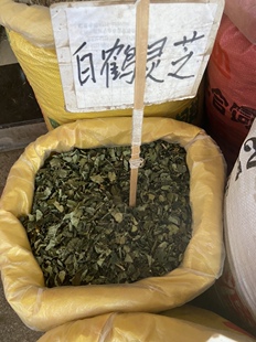 中药材白鹤灵芝草 癣草 正品 新鲜干货 500克包邮