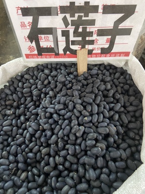 双肾子药材苦石莲石莲子广西野生纯黑仁500g可搭配风流果阴阳子