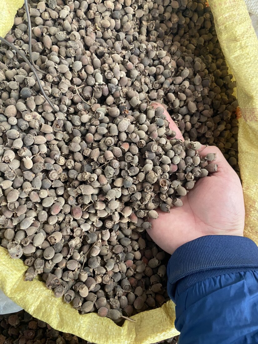 新货山稔子干山捻子干桃金娘干果新鲜野生多尼果山棯泡酒500g包邮