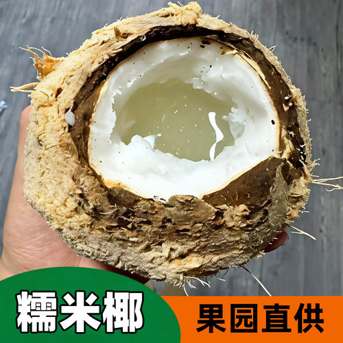 糯米椰批发送小料新鲜软糯当天去皮抽真空锁鲜多种质量可选