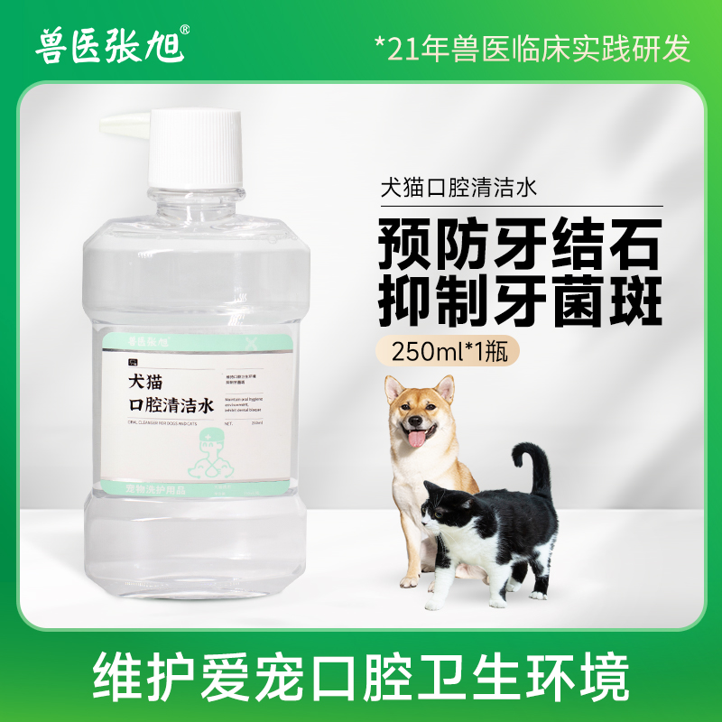 宠物猫口腔清洁兽医张旭