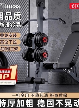 室内家用哑铃凳仰卧起坐辅助器高位下拉凳杠铃飞鸟多功能卧推椅