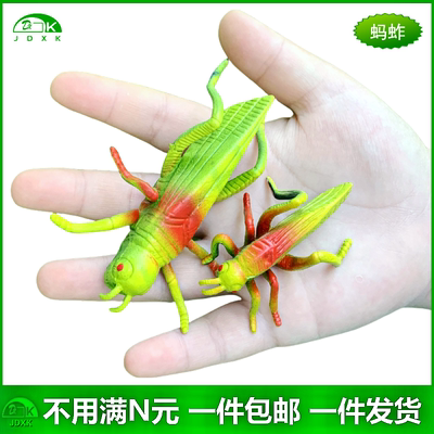 仿真蚂蚱软胶包邮玩具