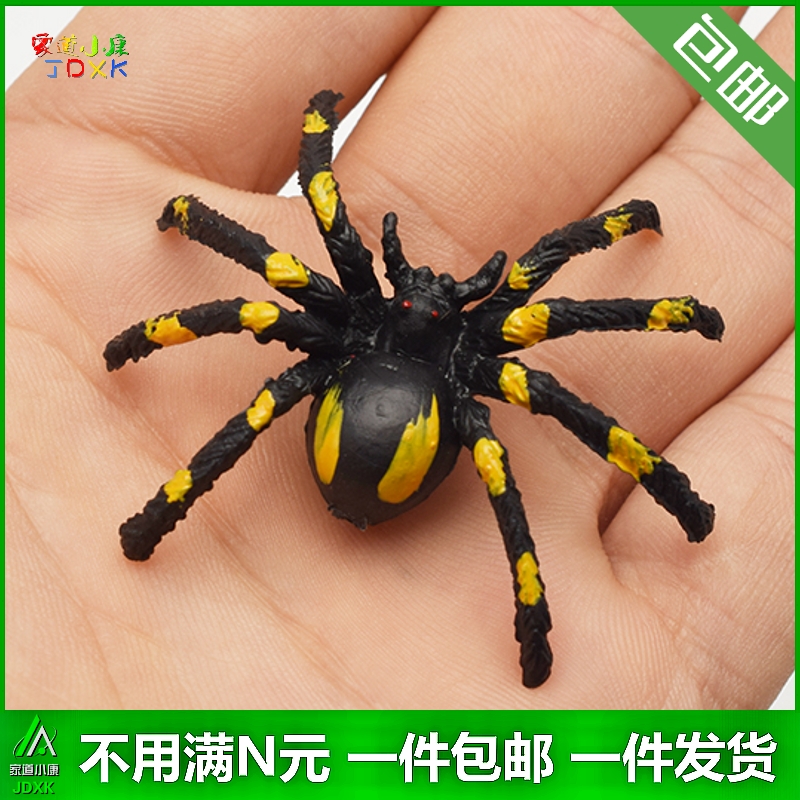 仿真小动物蜘蛛迷你昆虫模型