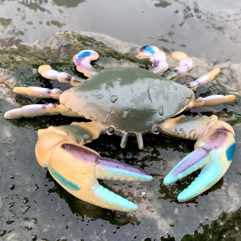 jdxk软胶仿真螃蟹水产海鲜