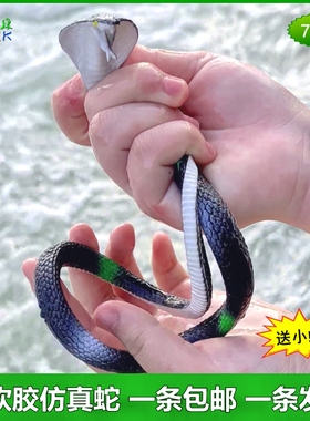 仿真蛇幼儿园儿童玩具蛇蓝黑色整蛊假蛇软胶小蛇眼镜蛇橡皮橡胶蛇