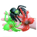 软胶仿真大号蜘蛛套装 恶搞吓人幼儿园儿童过家家玩具昆虫动物模型