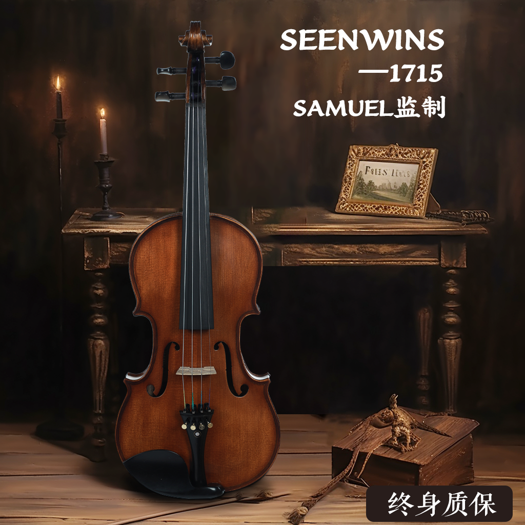 圣维斯sw100小提琴初学者纯手工