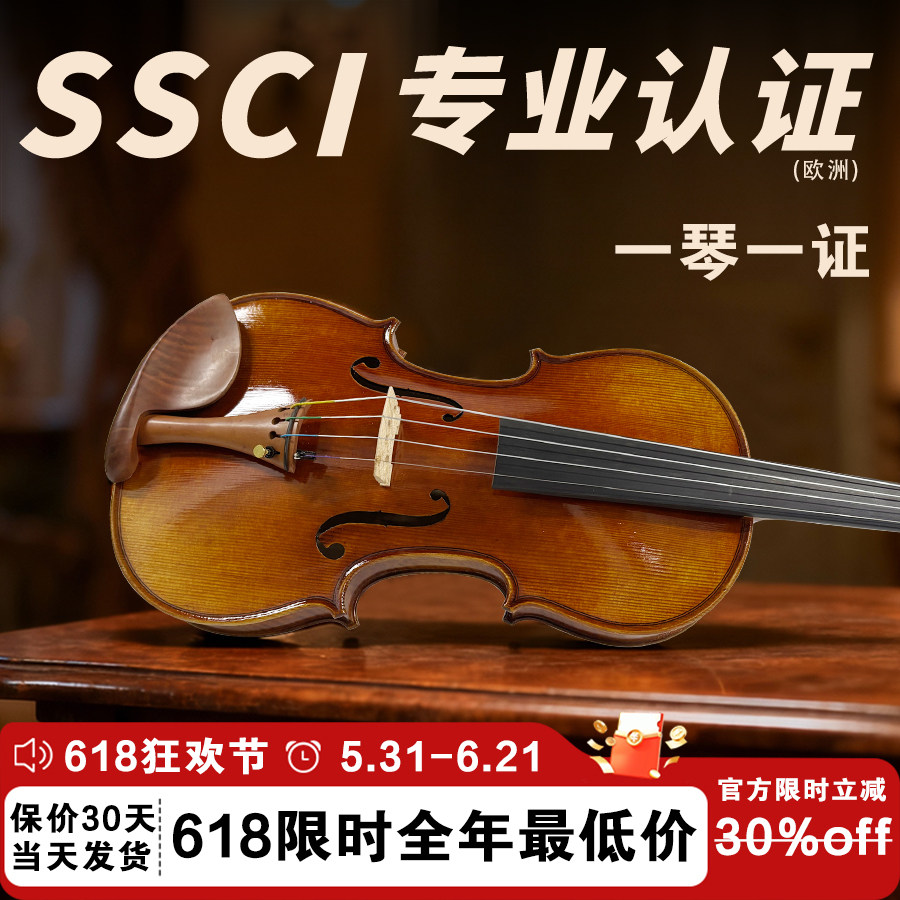 专业级小提琴SEENWINS