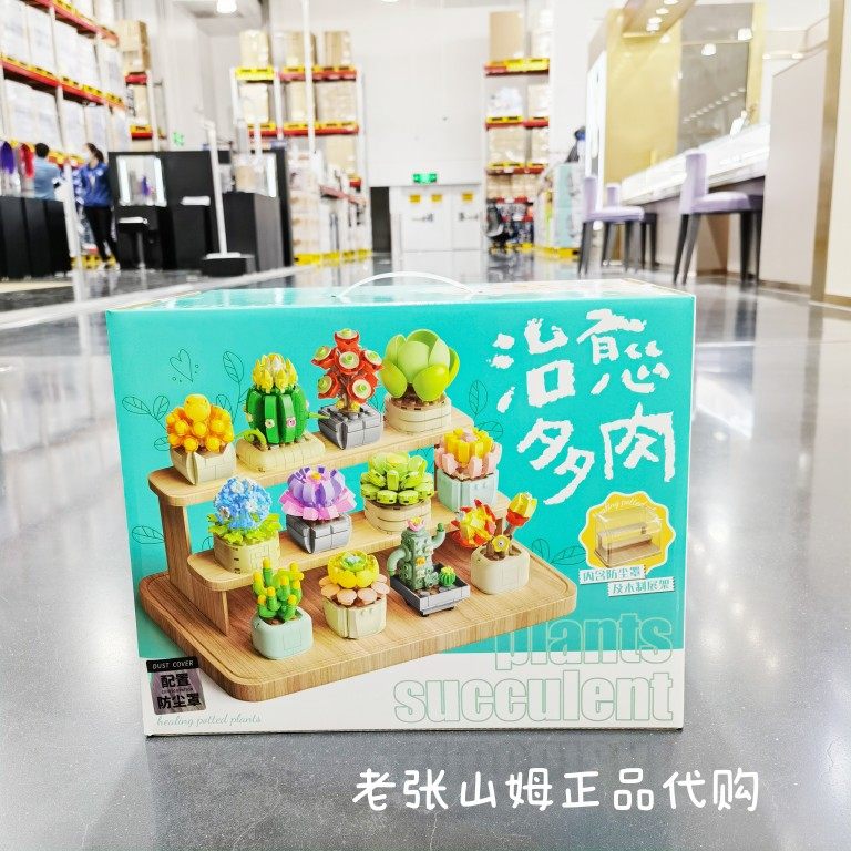 山s姆治愈多肉积木花DIY益智拼装玩具创意摆件生日礼物礼盒