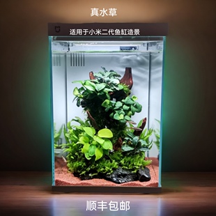 适配于小米二代鱼缸阴性水草造景入门级别专业设计懒人一体发货