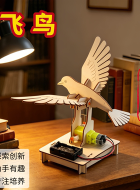 DIY拼装飞鸟机械模型科学教具