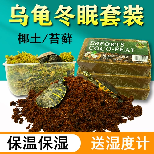 Черепаха Спячка поставлена ​​на зимнюю, теплую, увлажняющую, кокосовую почву Стерильную подушку мох мх, водяная трава кокосовая плитка