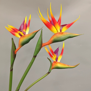 天堂鸟仿真花绿植造景塑料花假花鹤望兰餐桌插花摆设客厅装饰花艺
