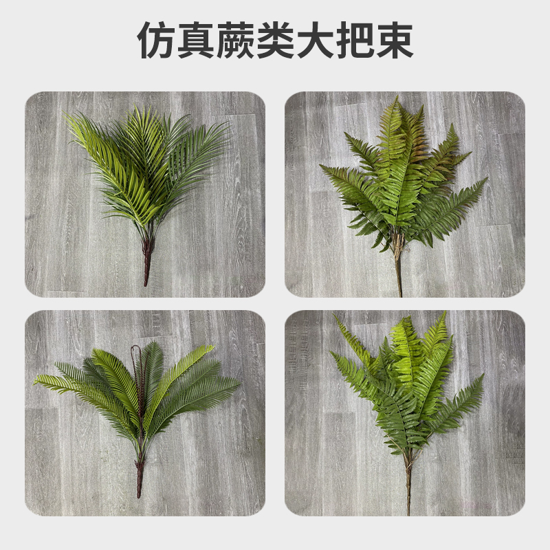 蕨类造景植物高仿真肾蕨蕨草手感软胶空间装饰植物墙拍摄道具配草