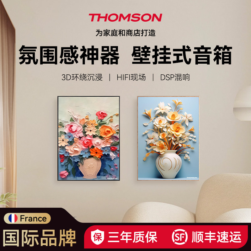 THOMSON壁画音响无线蓝牙音箱餐厅民宿酒店服装店播放器定制图案