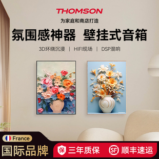 THOMSON壁画音响无线蓝牙音箱餐厅民宿酒店服装店播放器定制图案