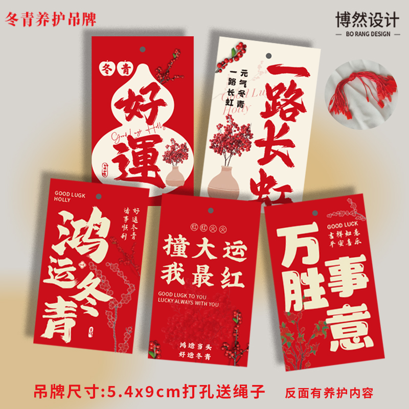 北美冬青吊牌新年绿植盆栽