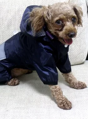 双层雨衣安全狗风衣销售25服装混批迷彩比熊犬反光宠物小型犬