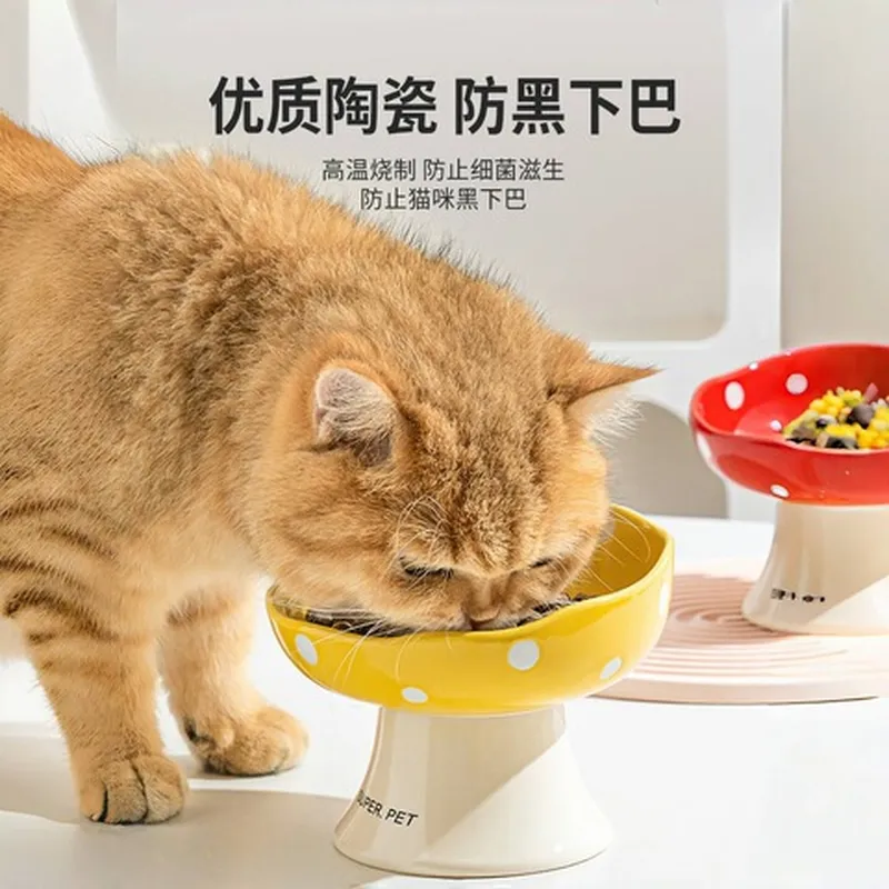 猫碗大口径碗防黑防打翻猫碗斜口碗陶瓷蘑菇食盆下巴陶瓷高脚猫猫图片