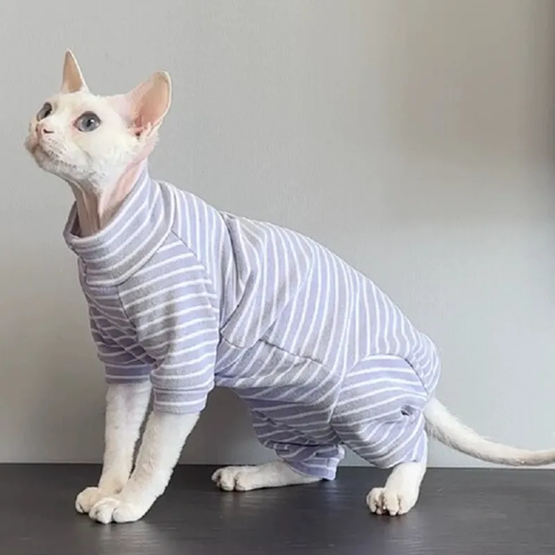 舒适猫咪衣服无毛猫新款四脚衣护肚四脚德文斯芬克斯猫衣服全包图片